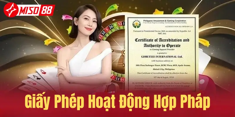 Trang chủ 27 Giấy phép lao động hợp pháp